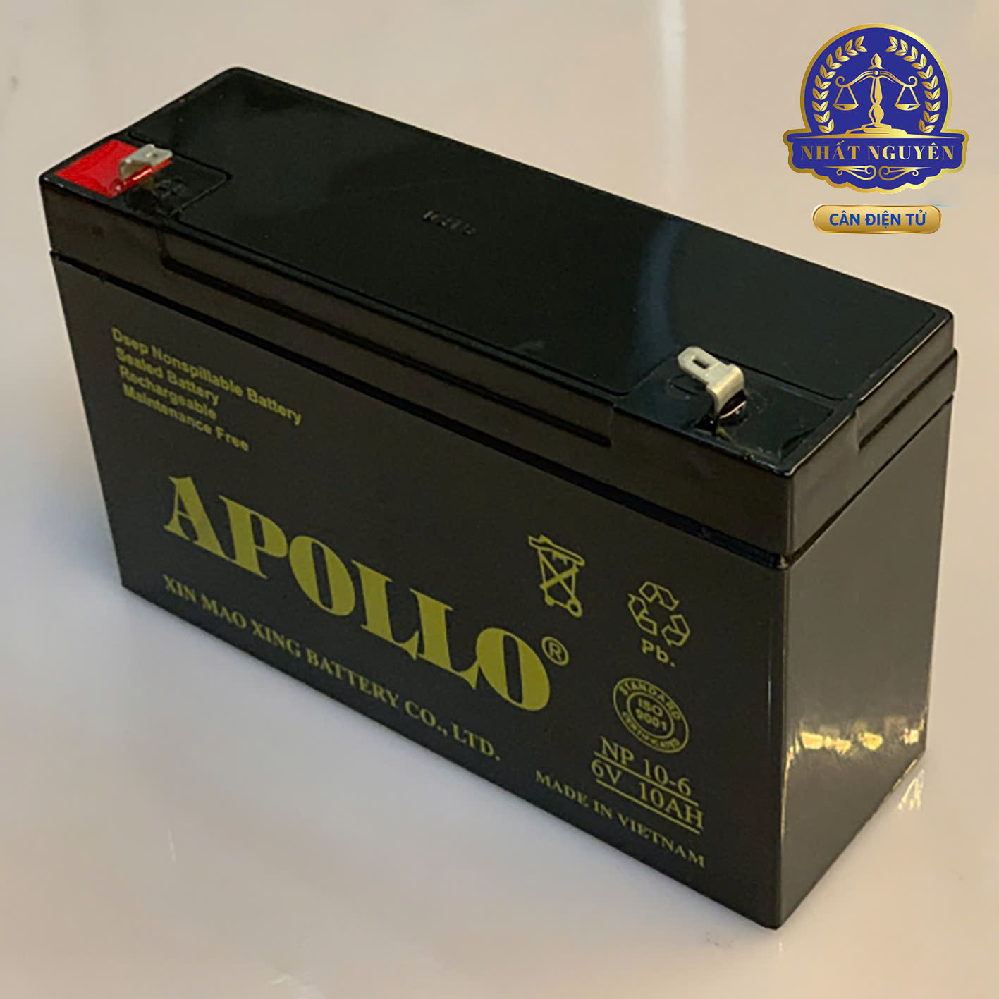 Pin 6V-10AH APOLLO